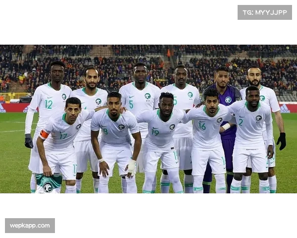 沙特队首战2红5黄埋祸根 公平竞赛积分成晋级生死线